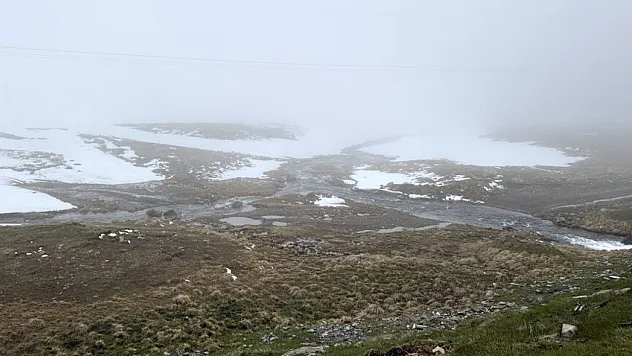 Ardahan'ın yüksek kesimlerinde kar yağışı etkili oldu!