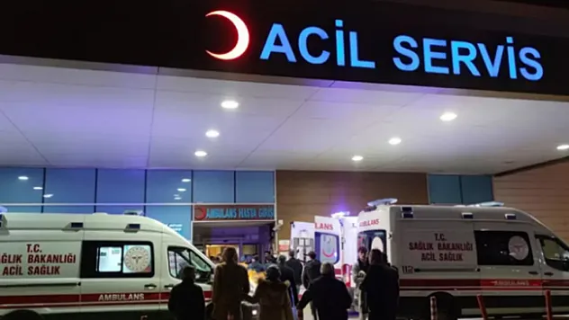 Arı sokması sonucu hayatını kaybetti