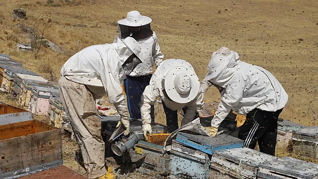 Arıcılar gün sayıyor