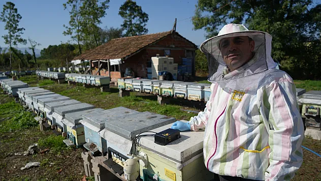 Arıcılığı teknolojiyle buluşturdu