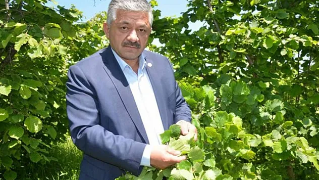 Arslan Soydan'dan Fındık Üreticisine Uyarı: 'Dik Durun, Acele Etmeyin'