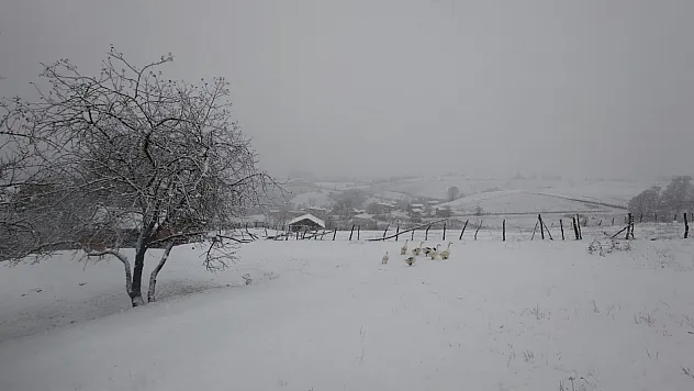 Asarcık ilçesi beyaza büründü