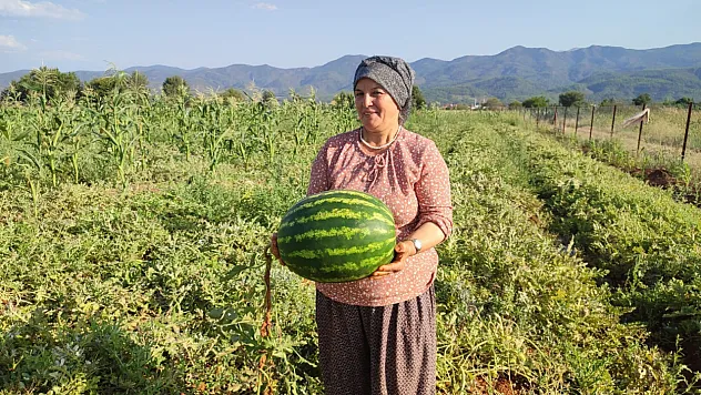 Ata tohumundan pijamalı karpuz bereketi
