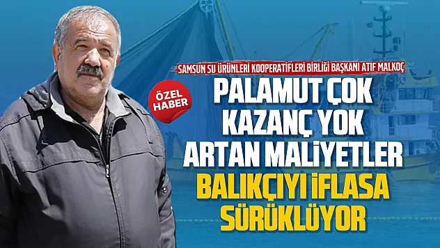 Atıf Malkoç, 'Mazot zamları Karadeniz'de palamut sevincini bitirdi'