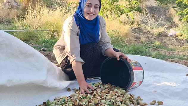 Atıl araziyi üretime kazandırdı, 1.200 badem ağacından ürün bekliyor