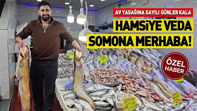 Av yasağına sayılı günler kala hamsiye veda, somona merhaba!