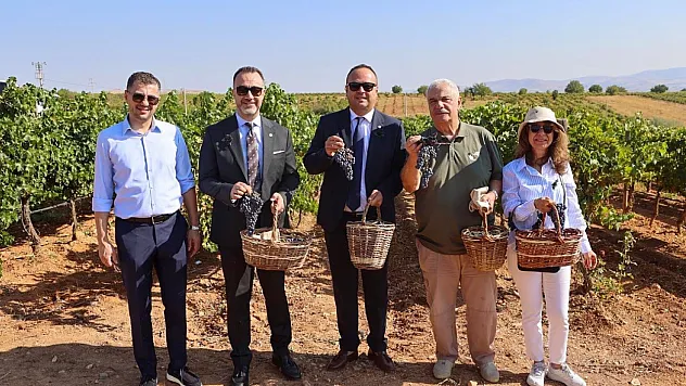 Avrupa ve Türkiye'nin ortak mirası Çal'da sergilendi