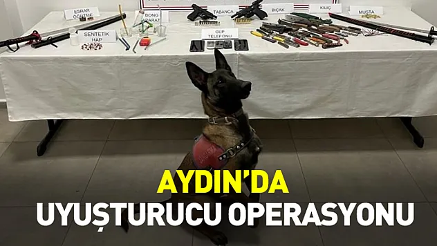 Aydın'da uyuşturucu operasyonu