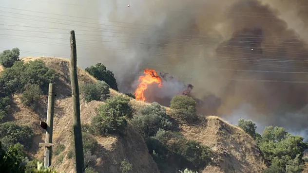 Aydın Efeler'de Zirai Alanda Başlayan Yangın Ormana Sıçradı