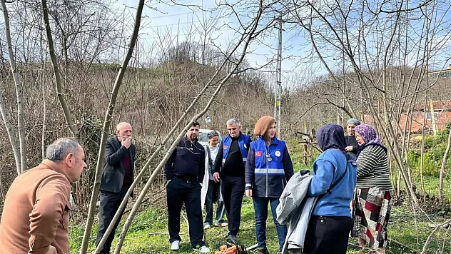 Ayvacık'ta fındık üreticilerine uygulamalı eğitim