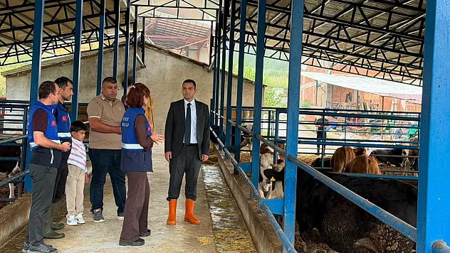 Ayvacık'ta hayvancılık çalışmalarına yakın takip