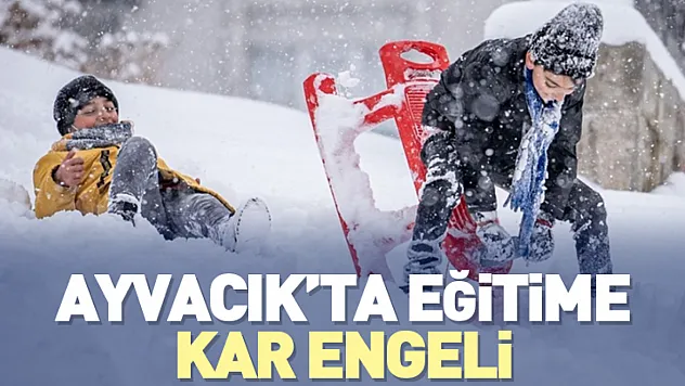 Ayvacık'ta Kar Nedeniyle Bazı Okullarda Eğitime Ara