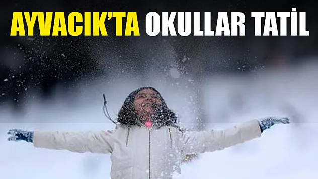 Ayvacık'ta okullar tatil