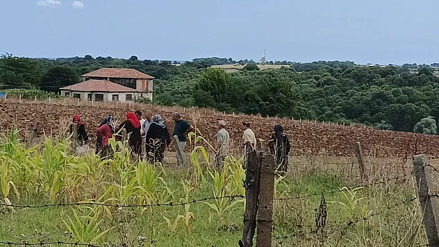 Bafra'da 92 yaşındaki kadın tarlada yanmış halde ölü bulundu