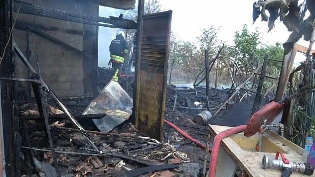 Bafra'da bir bağ evinde yangın çıktı: 1 büyükbaş hayvan telef oldu