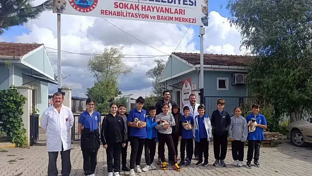 Bafra'da çocuklar sokak hayvanlarıyla buluştu
