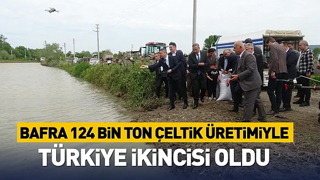 Bafra Ovası'nda çeltik mesaisi başladı