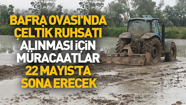 Bafra Ovası'nda kritik tarih! Çeltik üreticilerine son uyarı