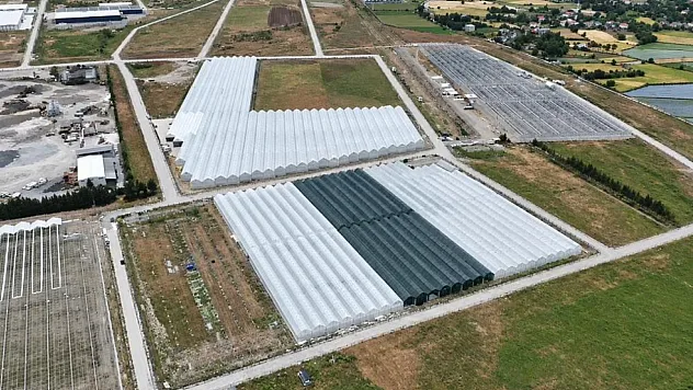 Bafra Sera OSB'de doluluk yüzde 85'e ulaştı