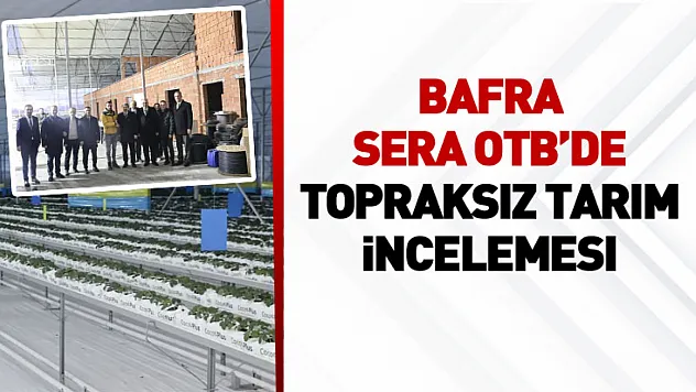 Bafra Sera OTB'de topraksız tarım incelemesi