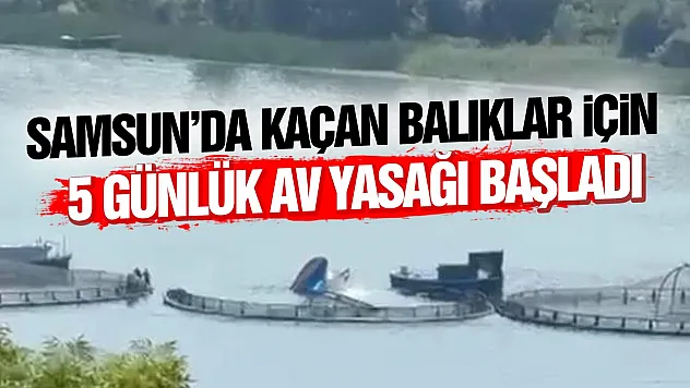 Bafralı balıkçılardan av yasağı tepkisi