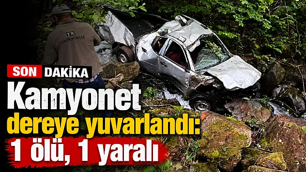 Bahçede facia: Kamyonet uçuruma yuvarlandı, sürücü hayatını kaybetti