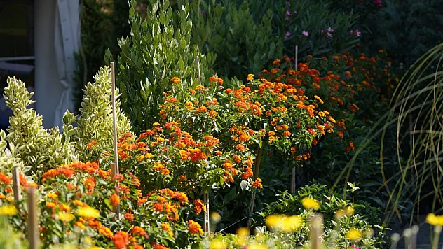 Bahçeden dünyaya açılan kapı