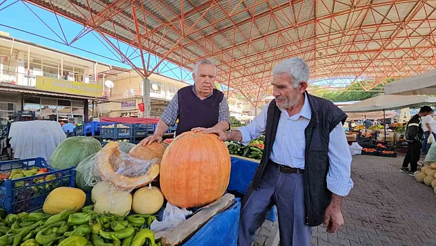 Bal kabağı yüzleri güldürdü