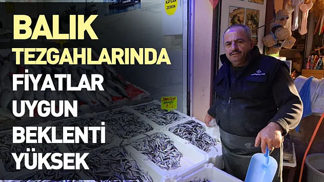 Balık Tezgahlarında Fiyatlar Uygun, Beklenti Yüksek