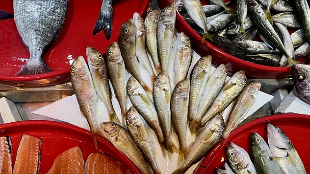 balıkçı tezgahlarında bolluk yaşanıyor