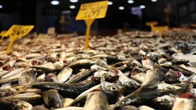 Balıkçı tezgahlarında istavrit ilgi görüyor