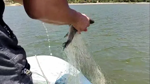 Balıkçılar 'Vira Bismillah' dedi