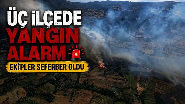 Balıkesir'de üç ayrı noktada yangın