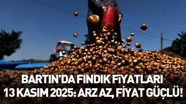 Bartın'da Fındık Fiyatları 13 Kasım 2025: Arz Az, Fiyat Güçlü!