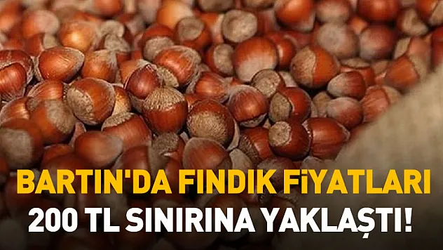 Bartın'da Fındık Fiyatları 200 TL Sınırına Yaklaştı!