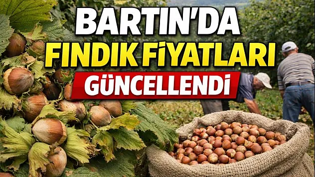 Bartın'da Fındık Fiyatları Güncellendi: Sahil Üretimi Piyasaya Yön Veriyor
