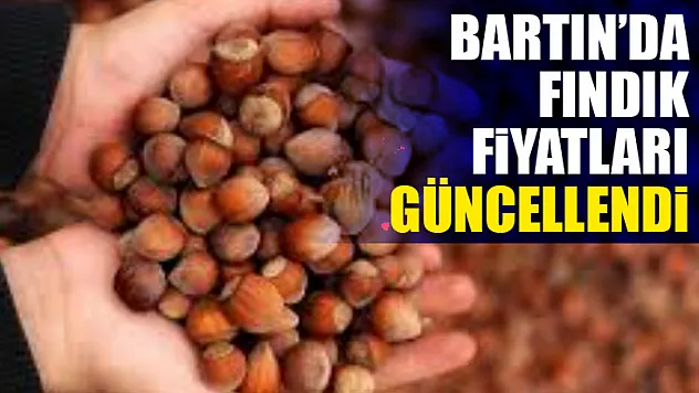Bartın'da Fındık Fiyatları Güncellendi: