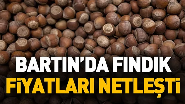 Bartın'da Fındık Fiyatları Netleşti