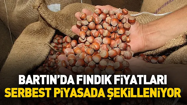 Bartın'da Fındık Fiyatları Serbest Piyasada Şekilleniyor