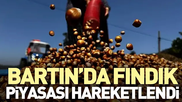 Bartın'da Fındık Piyasası Hareketlendi