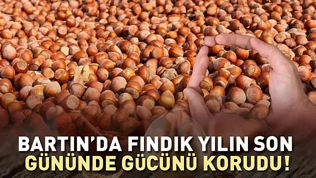 Bartın'da Fındık Yılın Son Gününde Gücünü Korudu!