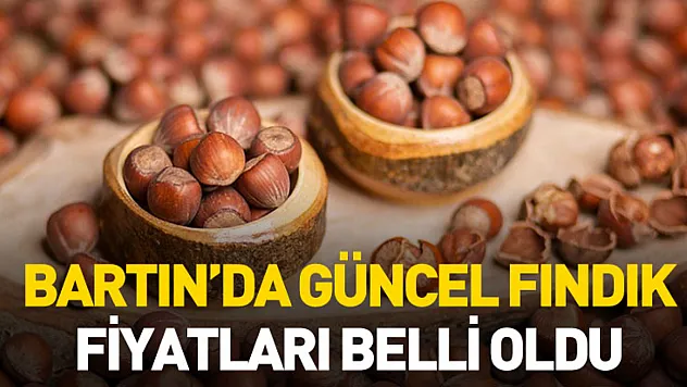 Bartın'da Güncel Fındık Fiyatları Belli Oldu