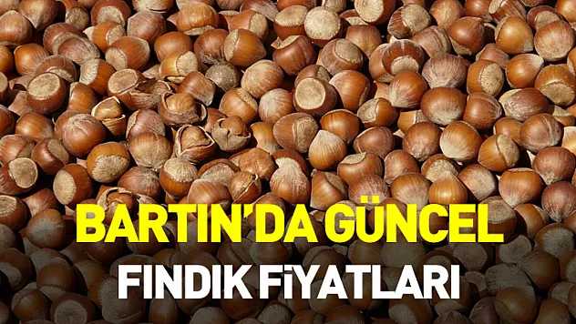 Bartın'da Güncel Fındık Fiyatları