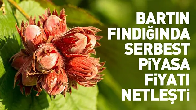 Bartın Fındığında Serbest Piyasa Fiyatı Netleşti