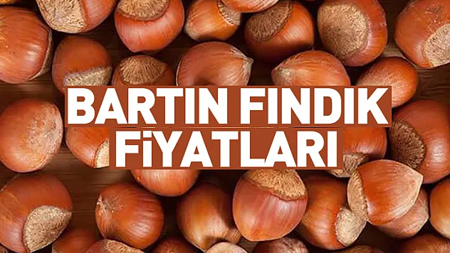 Bartın fındık piyasası 2025 sonunda kilitlendi: Üretici 2026'yı bekliyor