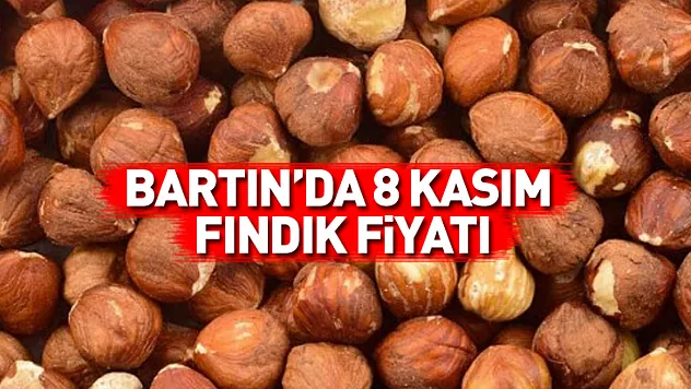 Bartın Fındık Fiyatları 8 Kasım 2025: Rekolte Düşük, Fındık Altın Değerinde!