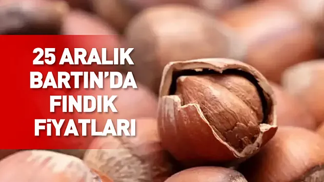 Bartın Fındık Fiyatları Sessizliğiyle Dikkat Çekiyor | 25 Aralık'ta Bekleyiş Sürüyor