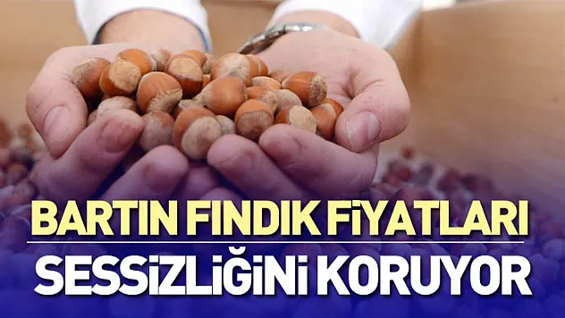 Bartın Fındık Fiyatları Sessizliğini Koruyor | 26 Aralık'ta Düşük Hacim, Yüksek Direnç