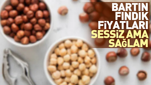 Bartın Fındık Fiyatları Sessiz Ama Sağlam | 27 Aralık'ta Düşük Hacim, Güçlü Direnç