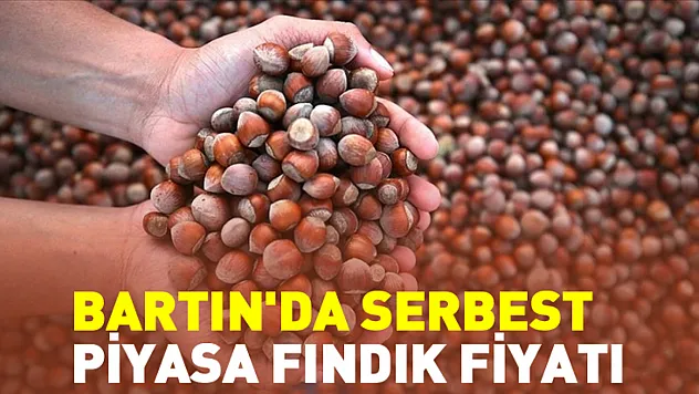 Bartın'da Serbest Piyasa Fındık Fiyatı (12 Ocak 2026)